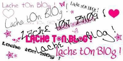 lache ton blog...